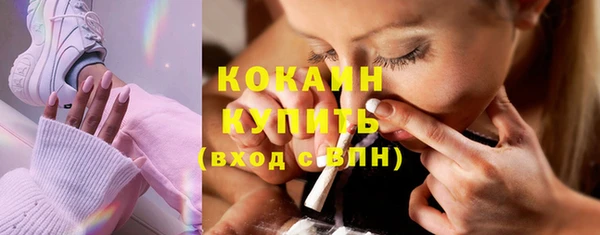 твердый Аркадак