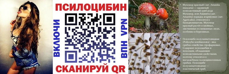 Псилоцибиновые грибы MAGIC MUSHROOMS  наркота  мориарти состав  Печоры 